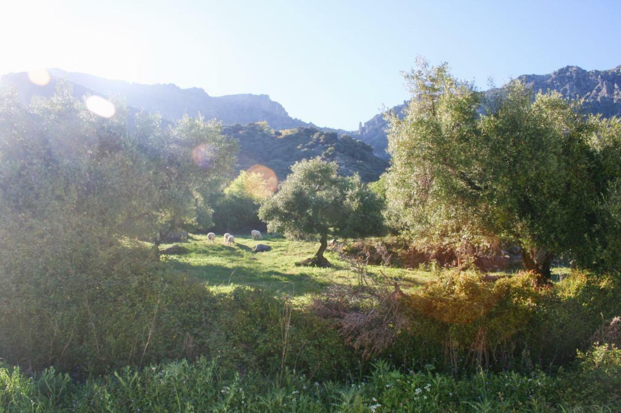 Betania Pension Grazalema Buitenkant foto